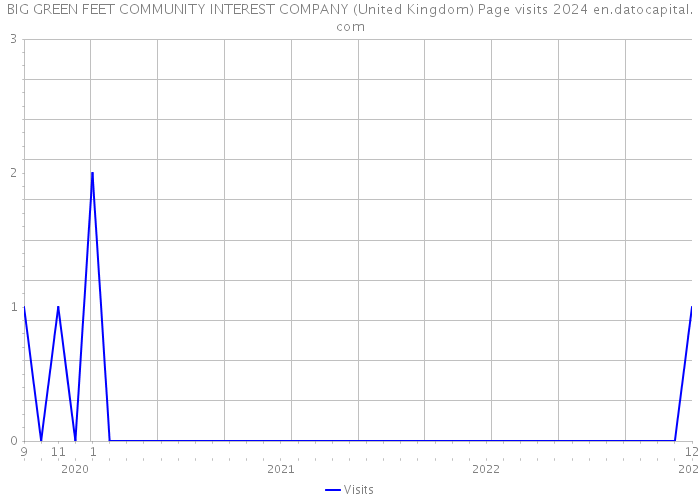 BIG GREEN FEET COMMUNITY INTEREST COMPANY (United Kingdom) Page visits 2024 