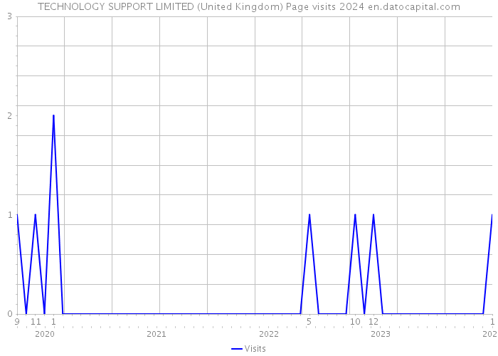 TECHNOLOGY SUPPORT LIMITED (United Kingdom) Page visits 2024 