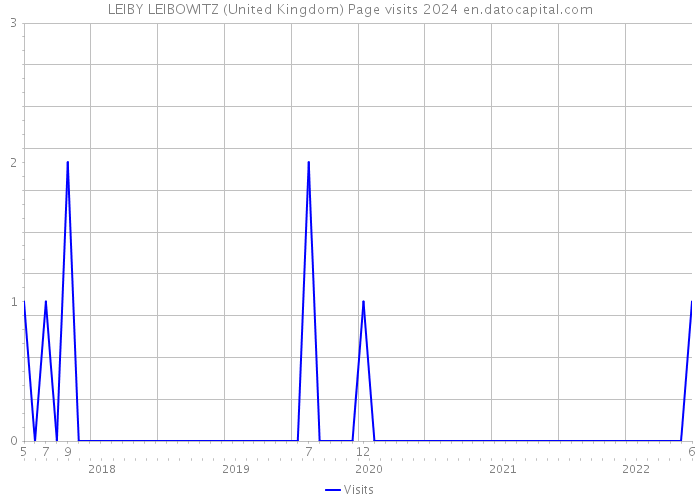 LEIBY LEIBOWITZ (United Kingdom) Page visits 2024 