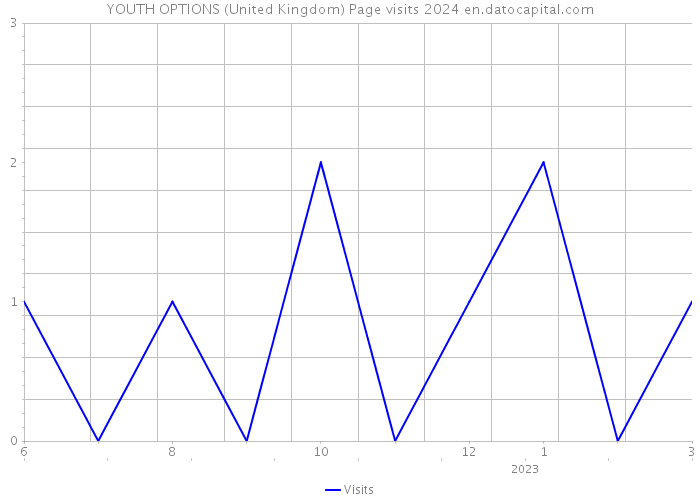 YOUTH OPTIONS (United Kingdom) Page visits 2024 
