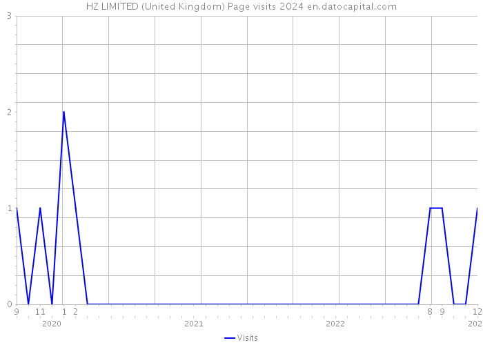 HZ LIMITED (United Kingdom) Page visits 2024 