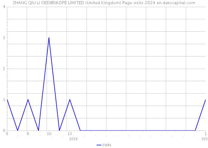 ZHANG QIU LI OEDIBNKDPE LIMITED (United Kingdom) Page visits 2024 