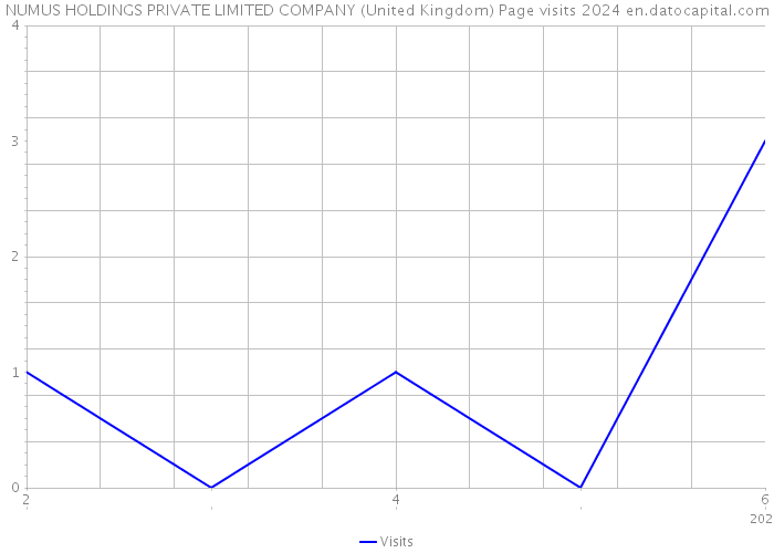 NUMUS HOLDINGS PRIVATE LIMITED COMPANY (United Kingdom) Page visits 2024 