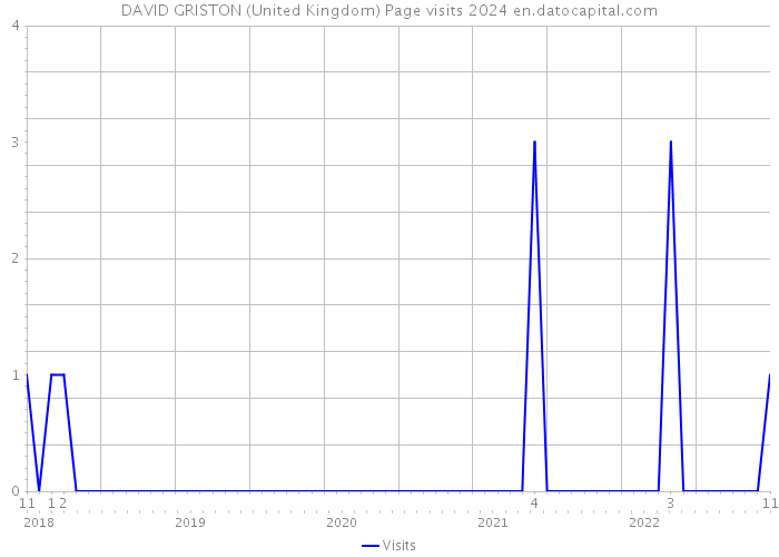DAVID GRISTON (United Kingdom) Page visits 2024 