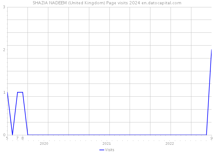 SHAZIA NADEEM (United Kingdom) Page visits 2024 