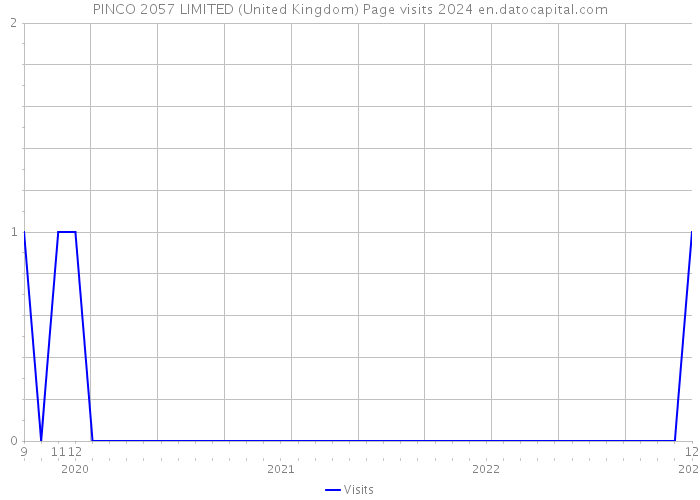 PINCO 2057 LIMITED (United Kingdom) Page visits 2024 