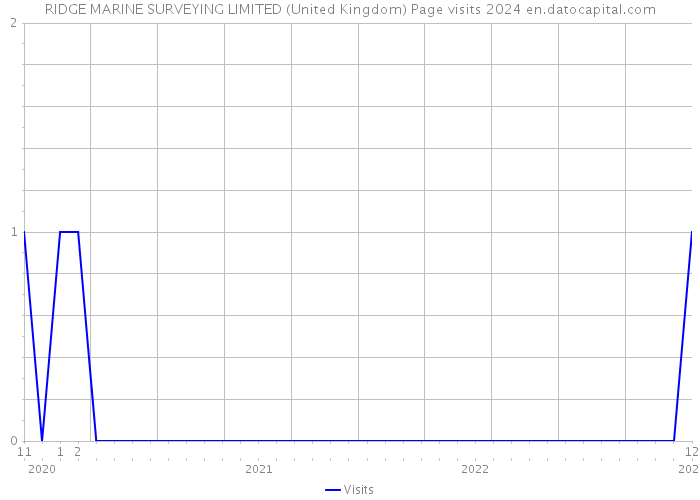 RIDGE MARINE SURVEYING LIMITED (United Kingdom) Page visits 2024 