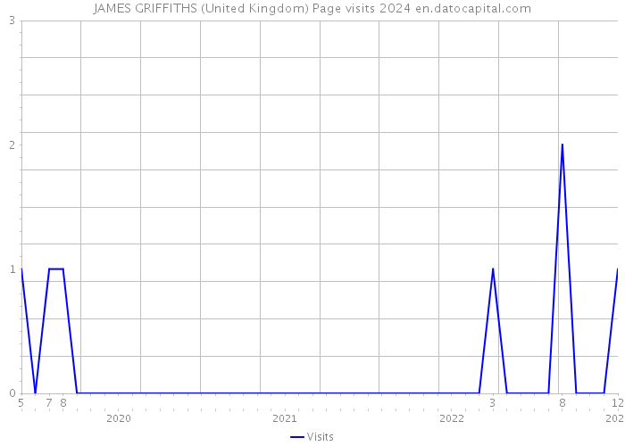 JAMES GRIFFITHS (United Kingdom) Page visits 2024 