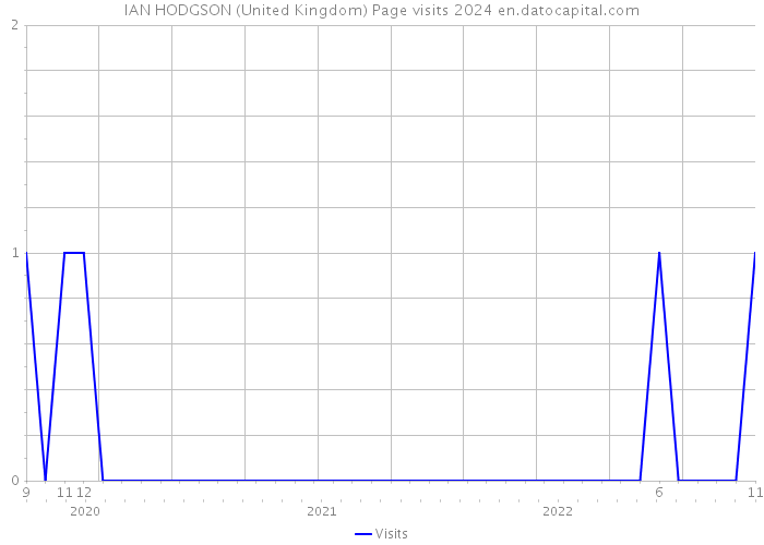 IAN HODGSON (United Kingdom) Page visits 2024 