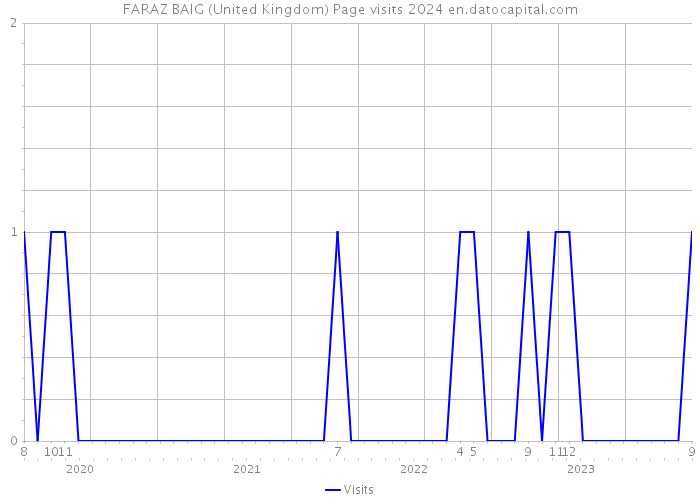 FARAZ BAIG (United Kingdom) Page visits 2024 