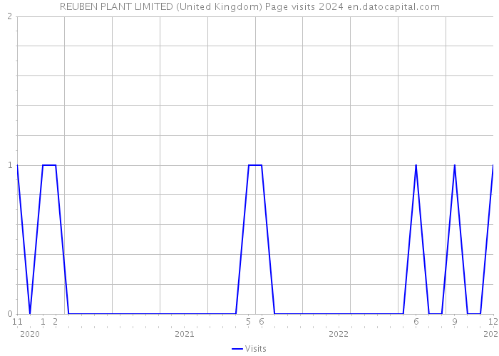 REUBEN PLANT LIMITED (United Kingdom) Page visits 2024 