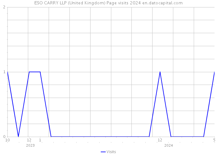 ESO CARRY LLP (United Kingdom) Page visits 2024 