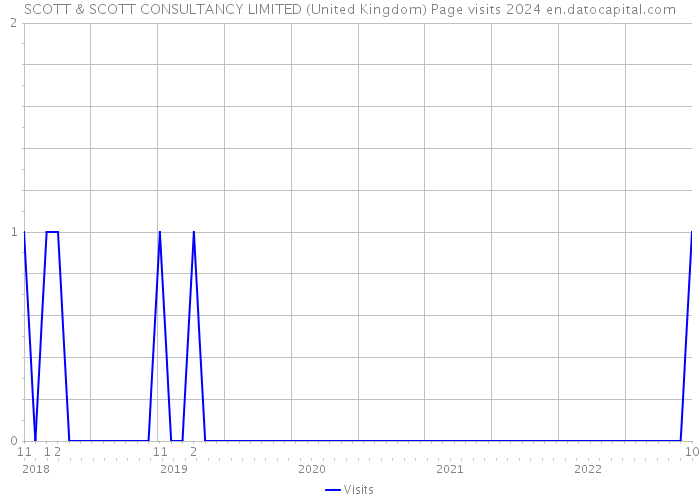 SCOTT & SCOTT CONSULTANCY LIMITED (United Kingdom) Page visits 2024 