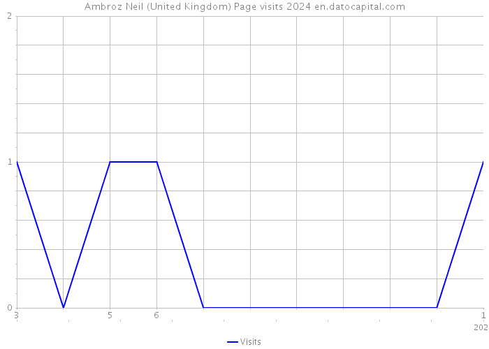 Ambroz Neil (United Kingdom) Page visits 2024 