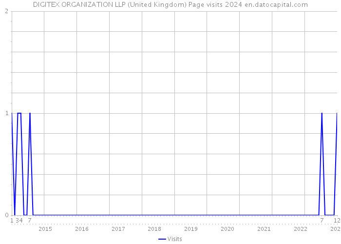 DIGITEX ORGANIZATION LLP (United Kingdom) Page visits 2024 