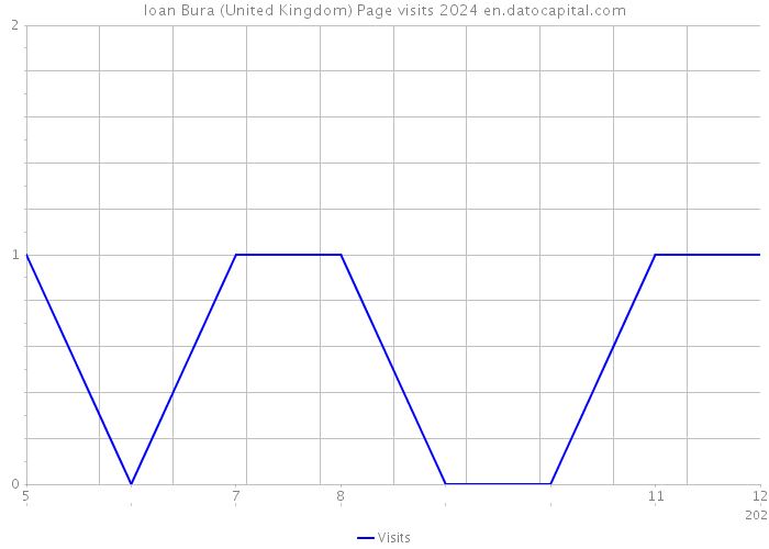 Ioan Bura (United Kingdom) Page visits 2024 