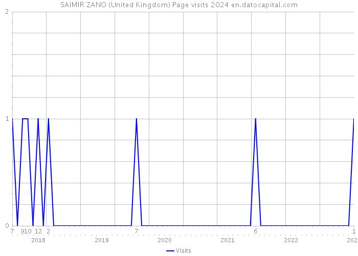 SAIMIR ZANO (United Kingdom) Page visits 2024 