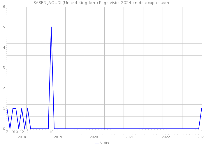 SABER JAOUDI (United Kingdom) Page visits 2024 