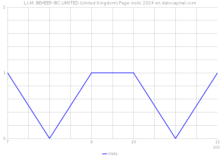 L.I.M. BEHEER IBC LIMITED (United Kingdom) Page visits 2024 