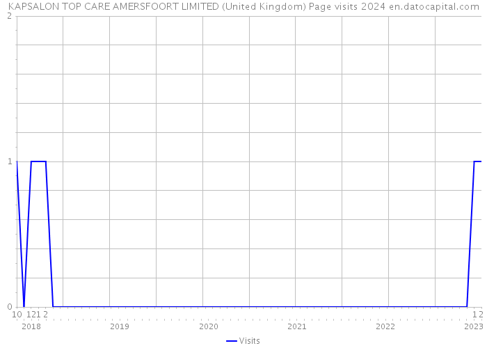KAPSALON TOP CARE AMERSFOORT LIMITED (United Kingdom) Page visits 2024 
