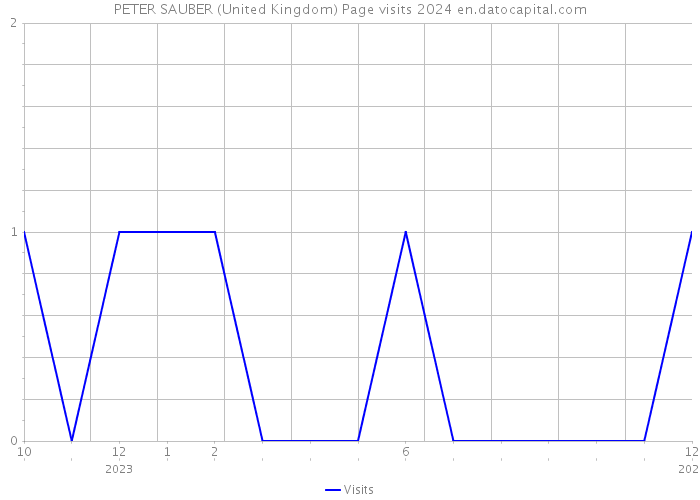 PETER SAUBER (United Kingdom) Page visits 2024 