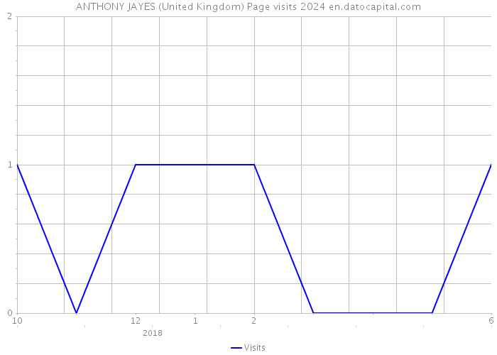 ANTHONY JAYES (United Kingdom) Page visits 2024 