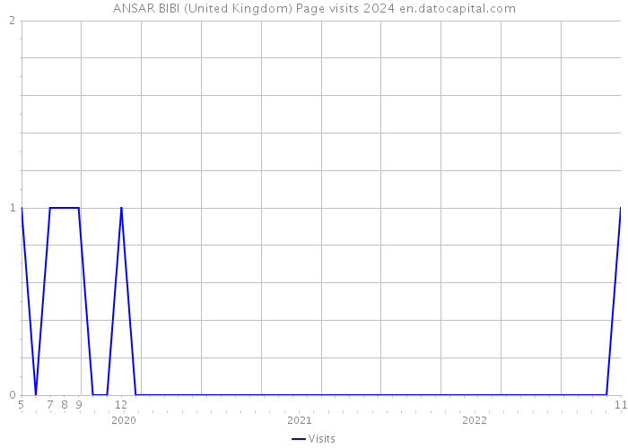 ANSAR BIBI (United Kingdom) Page visits 2024 