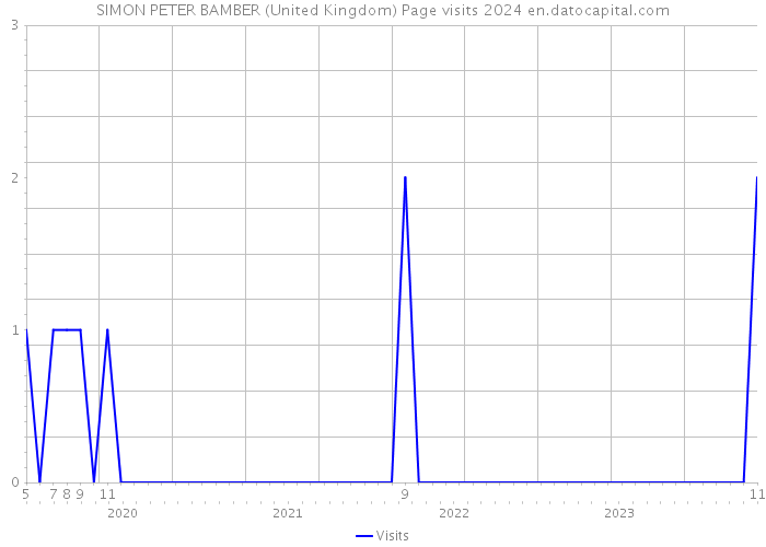 SIMON PETER BAMBER (United Kingdom) Page visits 2024 