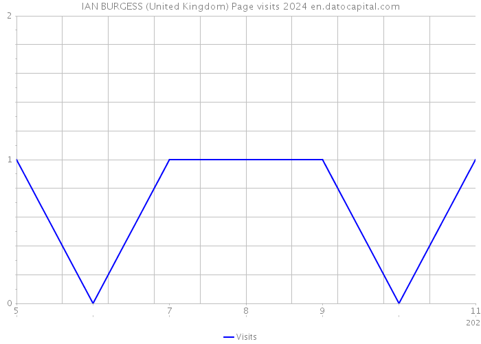 IAN BURGESS (United Kingdom) Page visits 2024 