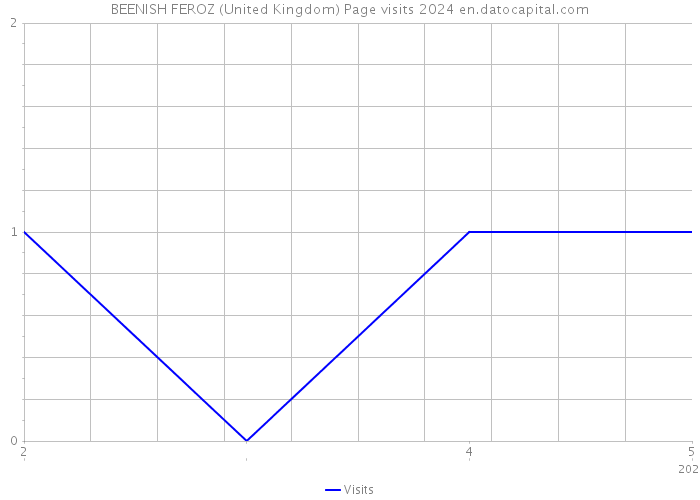 BEENISH FEROZ (United Kingdom) Page visits 2024 