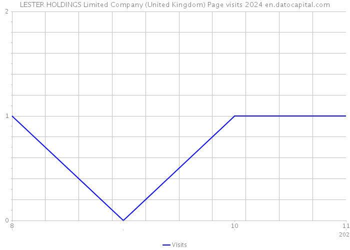 LESTER HOLDINGS Limited Company (United Kingdom) Page visits 2024 