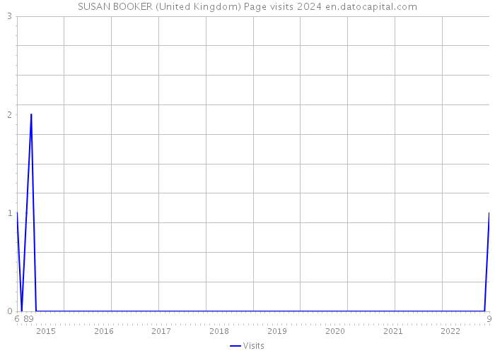 SUSAN BOOKER (United Kingdom) Page visits 2024 