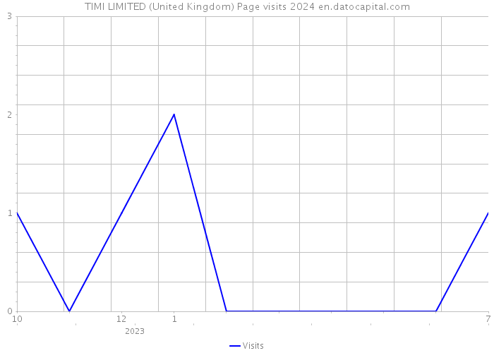 TIMI LIMITED (United Kingdom) Page visits 2024 