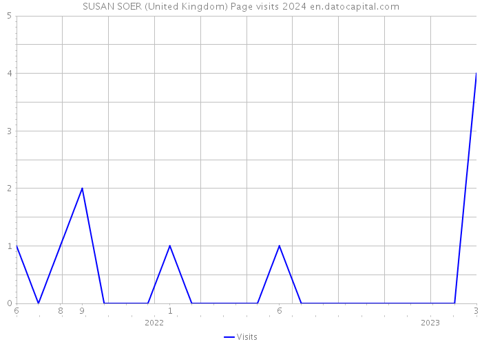 SUSAN SOER (United Kingdom) Page visits 2024 