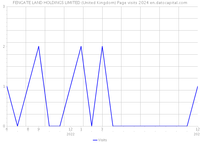 FENGATE LAND HOLDINGS LIMITED (United Kingdom) Page visits 2024 