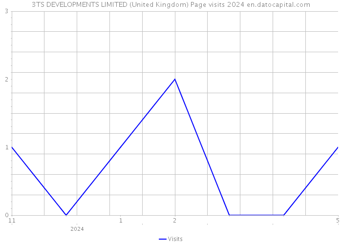 3TS DEVELOPMENTS LIMITED (United Kingdom) Page visits 2024 