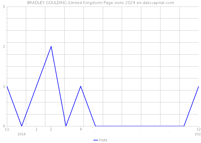BRADLEY GOULDING (United Kingdom) Page visits 2024 