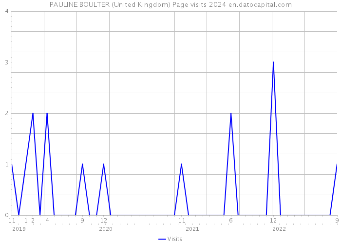PAULINE BOULTER (United Kingdom) Page visits 2024 