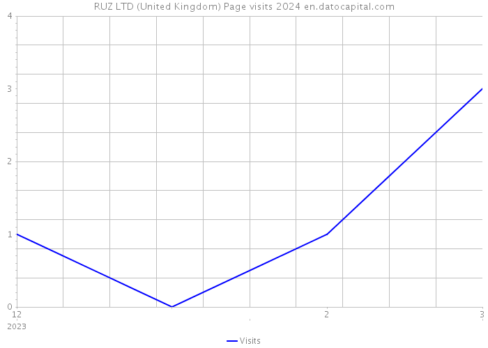 RUZ LTD (United Kingdom) Page visits 2024 