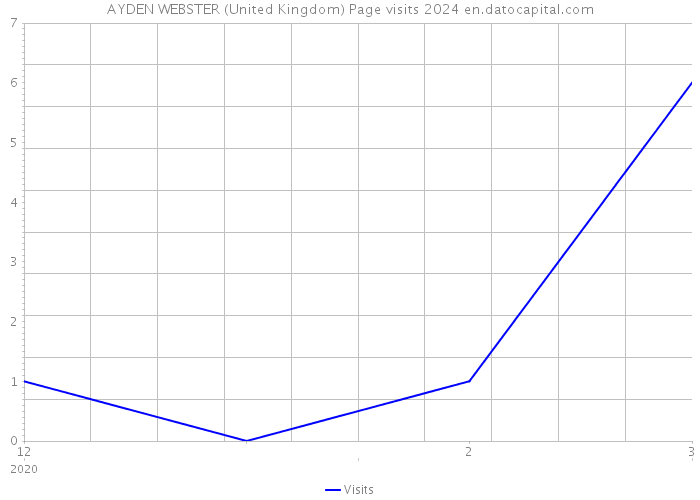 AYDEN WEBSTER (United Kingdom) Page visits 2024 
