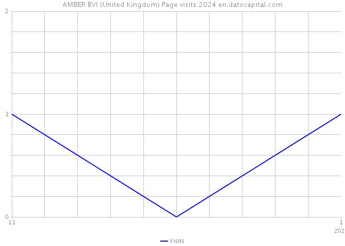 AMBER BVI (United Kingdom) Page visits 2024 