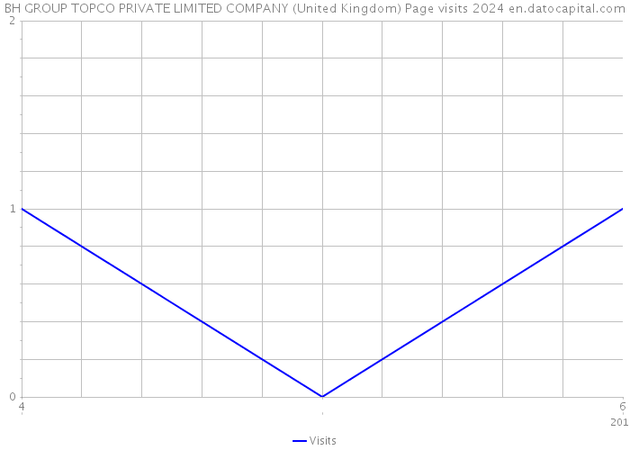 BH GROUP TOPCO PRIVATE LIMITED COMPANY (United Kingdom) Page visits 2024 