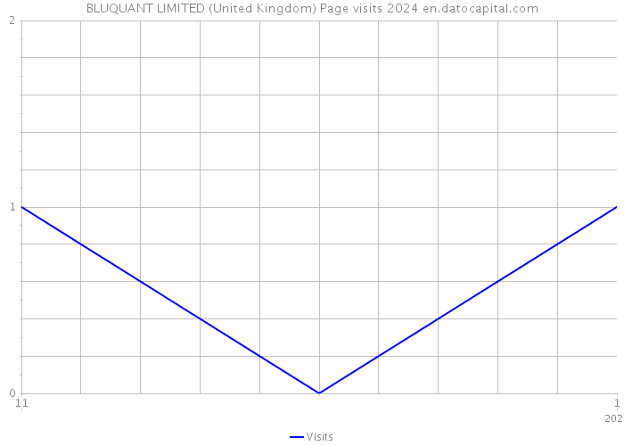BLUQUANT LIMITED (United Kingdom) Page visits 2024 