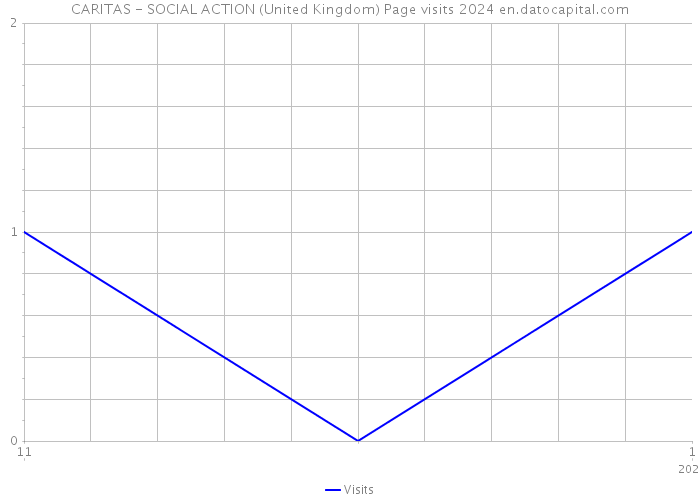 CARITAS - SOCIAL ACTION (United Kingdom) Page visits 2024 