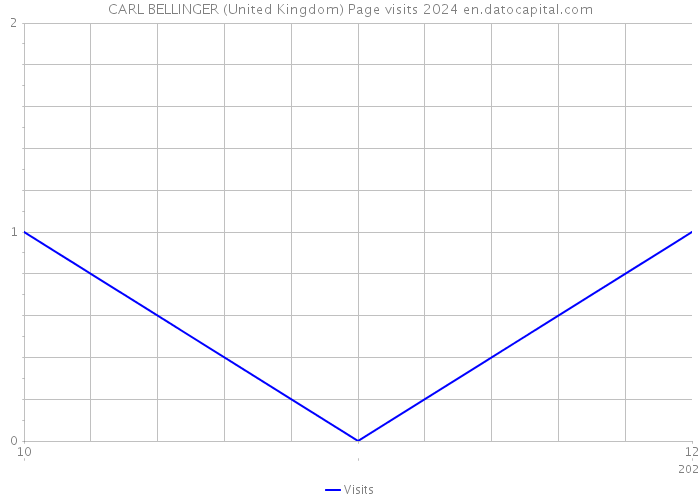 CARL BELLINGER (United Kingdom) Page visits 2024 