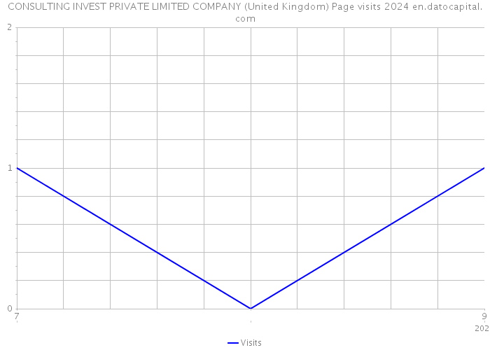 CONSULTING INVEST PRIVATE LIMITED COMPANY (United Kingdom) Page visits 2024 
