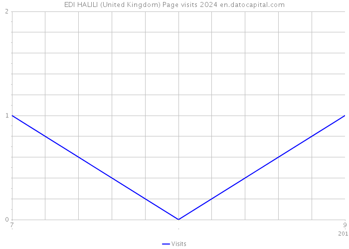 EDI HALILI (United Kingdom) Page visits 2024 