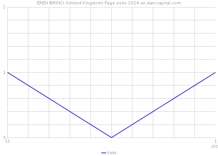 EREN BIRINCI (United Kingdom) Page visits 2024 