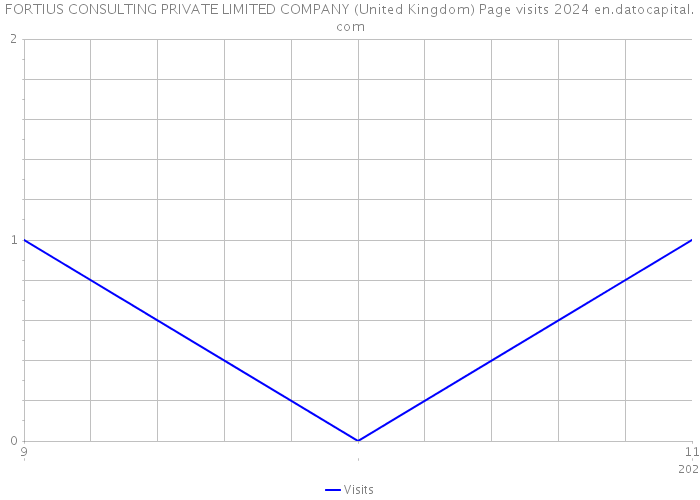 FORTIUS CONSULTING PRIVATE LIMITED COMPANY (United Kingdom) Page visits 2024 
