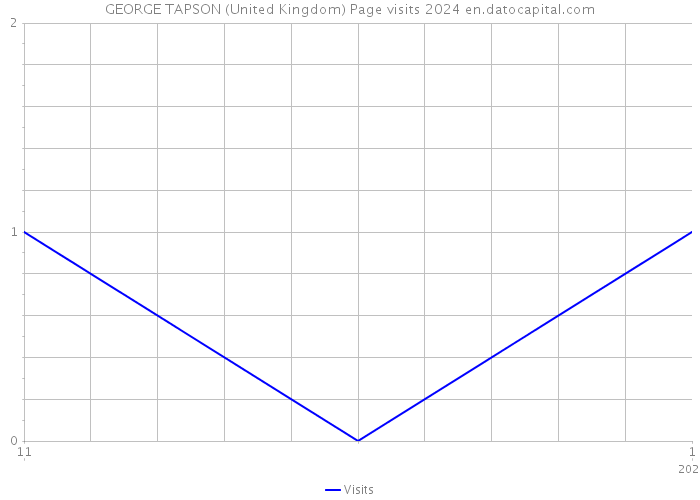 GEORGE TAPSON (United Kingdom) Page visits 2024 
